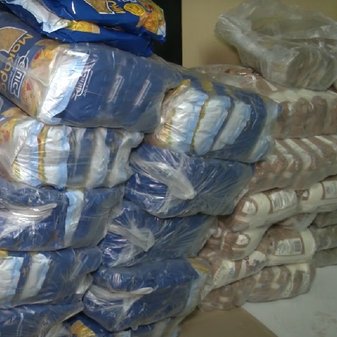 Безкоштовні продукти для ВПО та пенсіонерів у Дніпропетровській області: як працює благодійна допомога